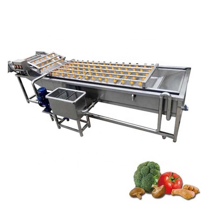 2000kg/H Bubble Brush Citrus Fruit And Vegetable Washing Machine Hotels