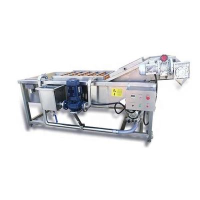 2000kg/H Bubble Brush Citrus Fruit And Vegetable Washing Machine Hotels