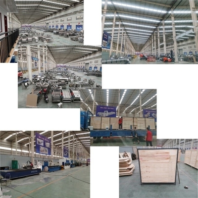 Customized Capacity Frozen French Fries Production Line for Agriculture Food Processing