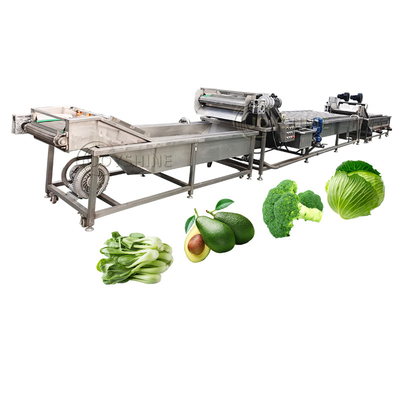 Bubble Peeling Brush Vegetable Washing Machine 300-500kg/H For Carrot Cassava Apple