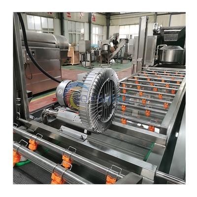 Bubble Peeling Brush Vegetable Washing Machine 300-500kg/H For Carrot Cassava Apple