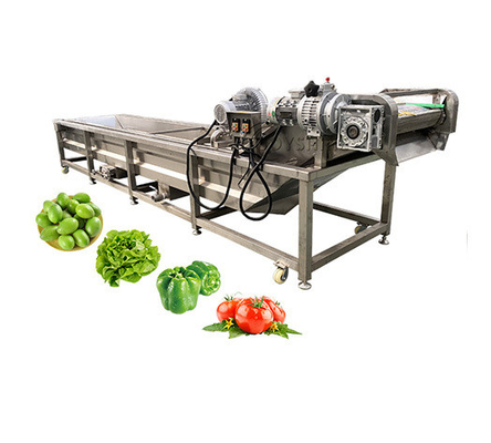 100-500kg/H Ozone Fruit And Vegetable Washer For Cleaning Carrots And Cassava