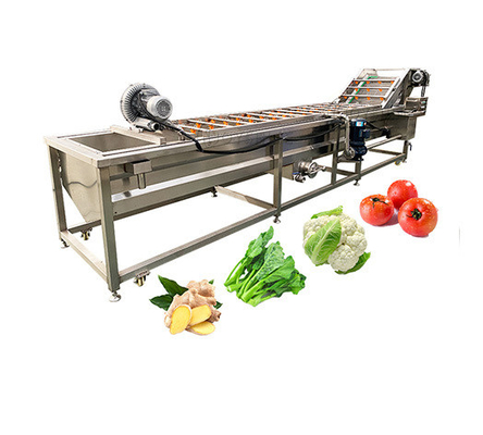 100-500kg/H Ozone Fruit And Vegetable Washer For Cleaning Carrots And Cassava