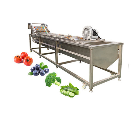 100-500kg/H Ozone Fruit And Vegetable Washer For Cleaning Carrots And Cassava