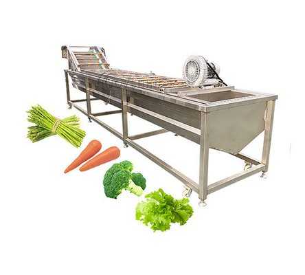 100-500kg/H Ozone Fruit And Vegetable Washer For Cleaning Carrots And Cassava
