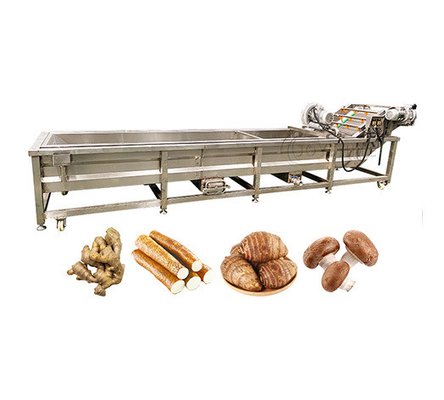 100-500kg/H Ozone Fruit And Vegetable Washer For Cleaning Carrots And Cassava