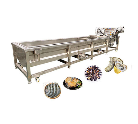 100-500kg/H Ozone Fruit And Vegetable Washer For Cleaning Carrots And Cassava