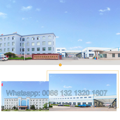 Beverage Food 200kg/H Banana Plantain Potato Chips Chicken Frying Machine