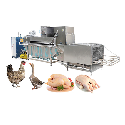Food Shop Automatic Halal Poultry Chicken Slaughtering Machine for Quail Processing