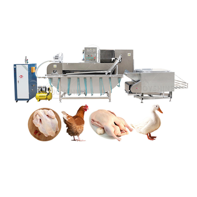 High Productivity Steam Chicken Slaughtering Machine for Customizable Halal Poultry