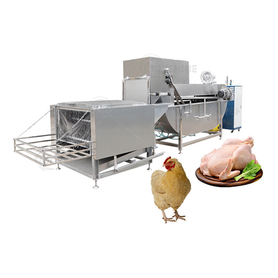 High Productivity Steam Chicken Slaughtering Machine for Customizable Halal Poultry