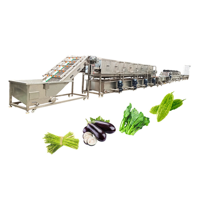 Customized SUS 304 Material Bubble Cleaning Drying Machine for Fruits and Vegetables