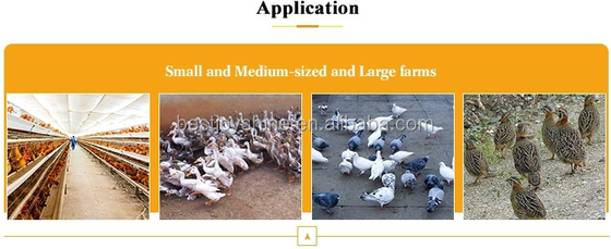 11 Rubber Sticks Poultry Killing Machinery Chicken Scalding and Defeathering Equipment