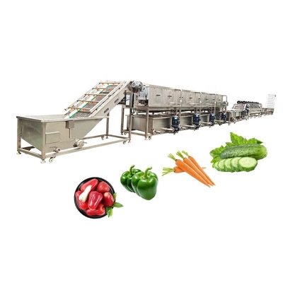 4500w SUS 304 Vegetable Fruits Mushroom Bubble Washing Cleaning Line