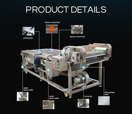 Multifunction Mesh Belt Conveying Fruits Mushroom Vegetable Processing Line