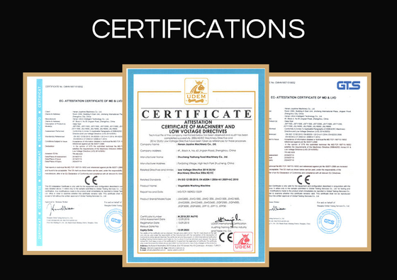 Multifunction Mesh Belt Conveying Fruits Mushroom Vegetable Processing Line
