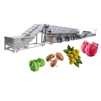 Bubble Washing And Air Drying Mushrooms Fruit And Vegetable Processing Line
