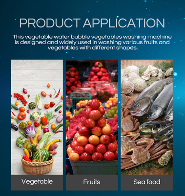 Bubble Washing And Air Drying Mushrooms Fruit And Vegetable Processing Line