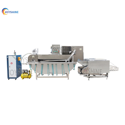 Small Scale Chicken Slaughtering Line with Gas Heating Feather Removal Equipment