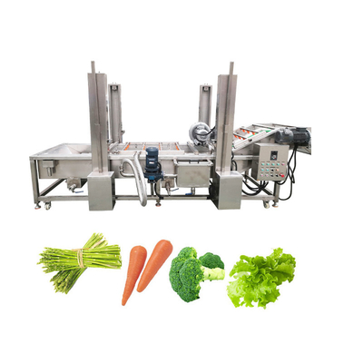 Versatile Automatic Vegetable and Fruit Bubble Cleaning Machine with Custom Options