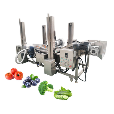 Versatile Automatic Vegetable and Fruit Bubble Cleaning Machine with Custom Options