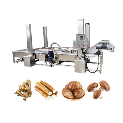 Versatile Automatic Vegetable and Fruit Bubble Cleaning Machine with Custom Options