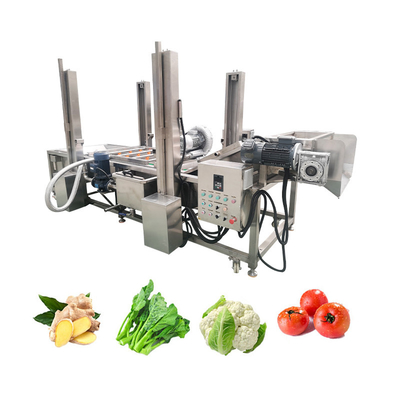 Versatile Automatic Vegetable and Fruit Bubble Cleaning Machine with Custom Options