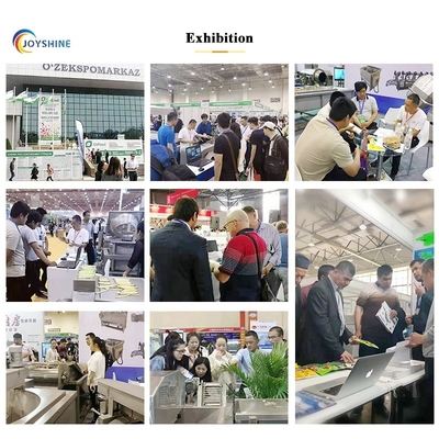 Custom Processing Potato Chips Automatic Frozen French Fries Production Line in Algeria