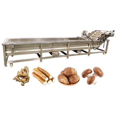 Multifunctional Ozone Bubble Cleaning Machine for Strawberry Carrot and Apricot Simple