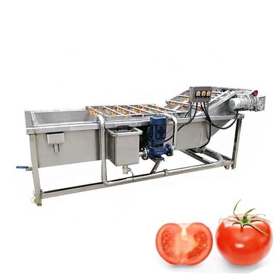 Food Shop Industrial Air Bubble Fruit Vegetable Washer for Washing Fruits Vegetables