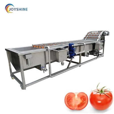 Small Scale Automatic Vegetable Bubble Washing and Sorting Machine with Long Service Life