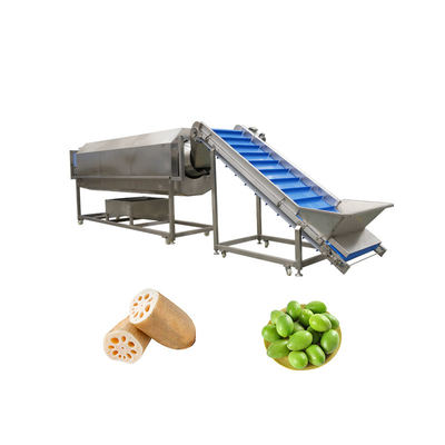Rotary Drum Herbal Cleaning Machine for Washing 300 KG of Walnuts and Pumpkin Seeds
