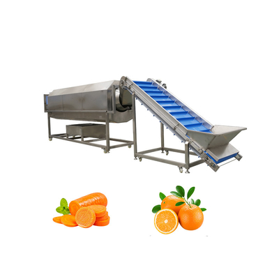 Rotary Drum Herbal Cleaning Machine for Washing 300 KG of Walnuts and Pumpkin Seeds
