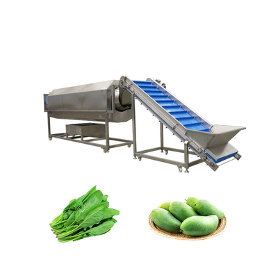 Rotary Drum Herbal Cleaning Machine for Washing 300 KG of Walnuts and Pumpkin Seeds