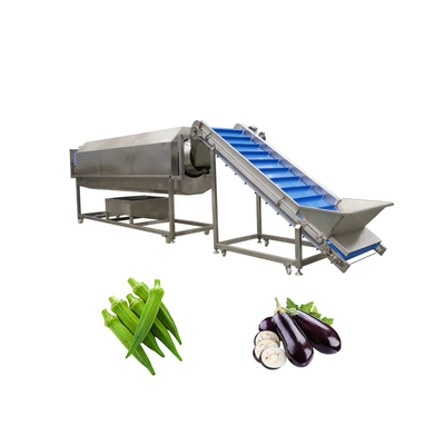 Rotary Drum Herbal Cleaning Machine for Washing 300 KG of Walnuts and Pumpkin Seeds