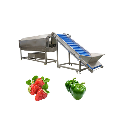 Rotary Drum Herbal Cleaning Machine for Washing 300 KG of Walnuts and Pumpkin Seeds