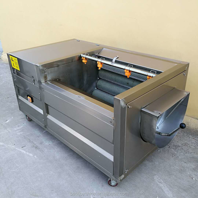 Joyshine Potato Cleaner Machine SUS304 Pumpkin Washing Machine Tomato Washing Machine