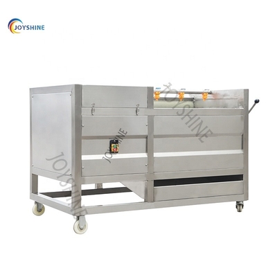 500kg Washing And Peeling Machine For Asparagus And Ginger Potato Carrot Beetroot
