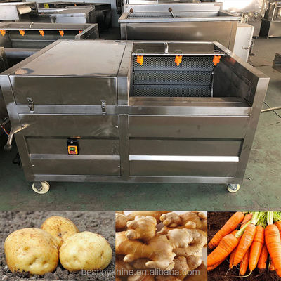 Joyshine Potato Cleaner Machine SUS304 Pumpkin Washing Machine Tomato Washing Machine