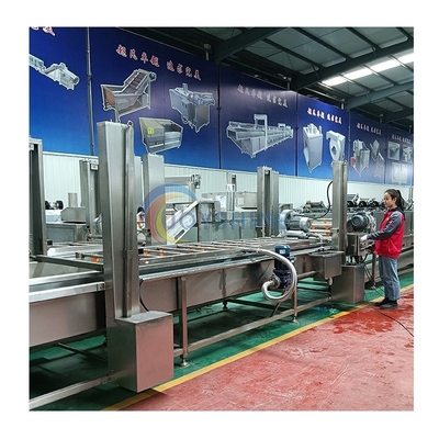 Joyshine Industrial Air Bubble SUS304 Ozone Leaf Vegetable Washing Machine for Fruits