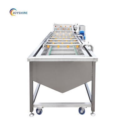 500kg Avocado Fruit Washing Waxing Sorting Machine Vegetable Cleaning Processing Line