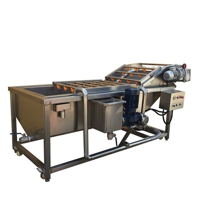 2000kg/H Multi Function Vegetable And Fruit Air Bubble Washing Machine