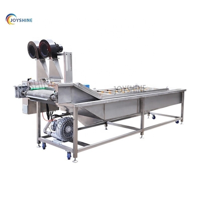 Small Scale Mango Dragon Fruit Vegetable Bubble Washing Machine for Shandong Supply