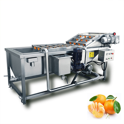 Customizable Vegetable and Fruit Washing Waxing Drying Machine for Your Requirement