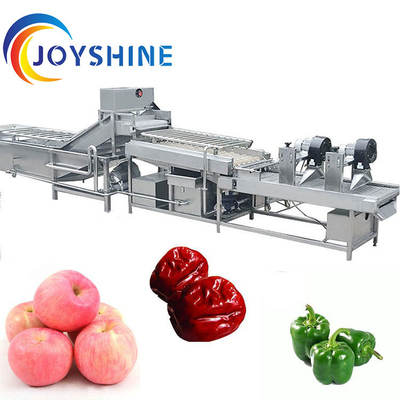 JOYSHINE Group's Mango Washing Machine Easy to Operate at 500kg/h Production Capacity