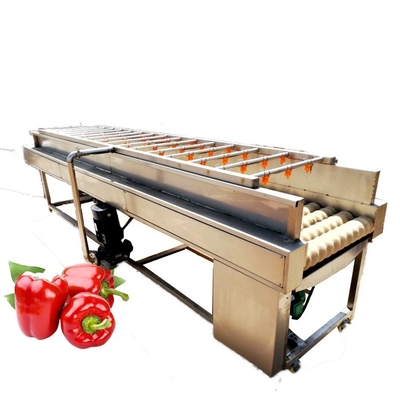 JOYSHINE Group's Mango Washing Machine Easy to Operate at 500kg/h Production Capacity