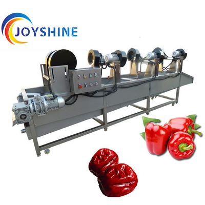 JOYSHINE Group's Mango Washing Machine Easy to Operate at 500kg/h Production Capacity
