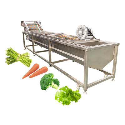 Custom Accepted Wide Range Application Citrus Dragon Fruit Washing Machine 220v/380v