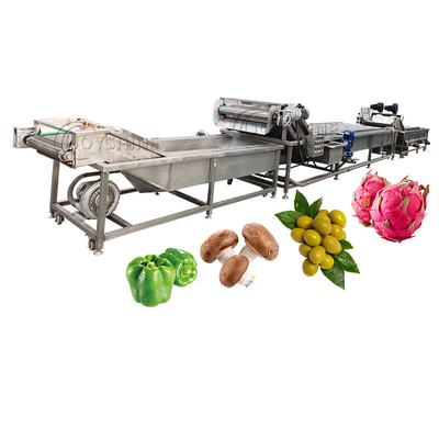 Custom Accepted Wide Range Application Citrus Dragon Fruit Washing Machine 220v/380v