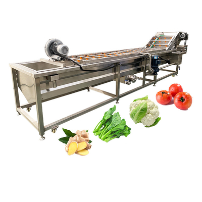 Custom Accepted Wide Range Application Citrus Dragon Fruit Washing Machine 220v/380v